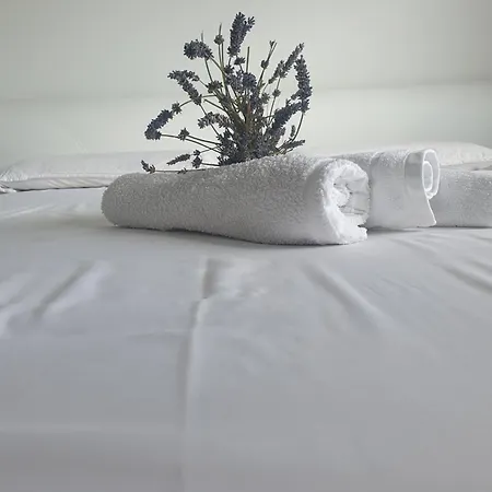 Farrmhouse With Goats And Garden Frankolovo