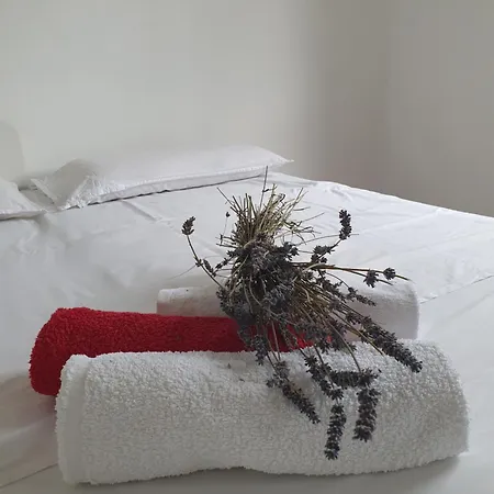 Farrmhouse With Goats And Garden *